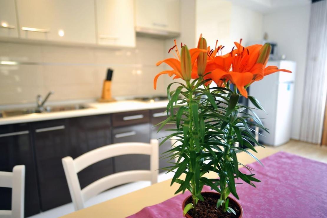 Apartmani Anita Medulin Exterior photo